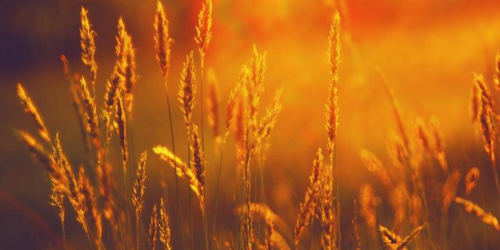 2560x1600 imagenote: Sunshine Wallpapers HD Download