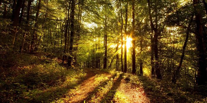 1920x1080 Sunshine Wallpaper (25+)