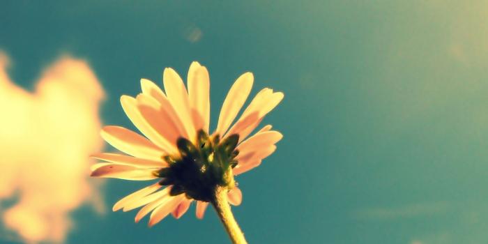 2048x1536 Vintage Summer Desktop Wallpapers - Top Free Vintage Summer Desktop