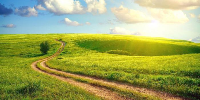 2560x1440 Meadow Wallpaper - Sunshine Desktop Background Free Wallpaper