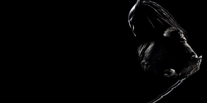 2560x1440 Predator Wallpapers Backgrounds (74+ images)