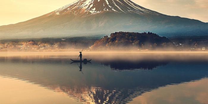 1000x1500 Fuji Pictures | Download Free Images on Unsplash