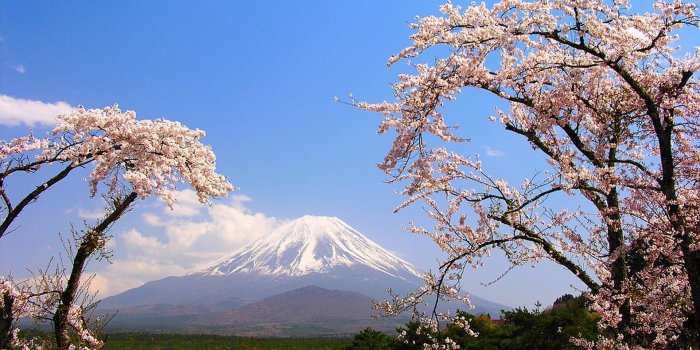 1920x1200 Mount Fuji – Travel HD Wallpapers