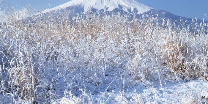 1920x1200 Japan winter snow Mount Fuji wallpaper | 1920x1200 | 218700