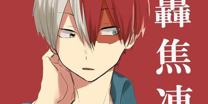 954x1696 Todoroki Wallpaper iPhone, iPhone 5, iPhone 6, iPhone 7 Download