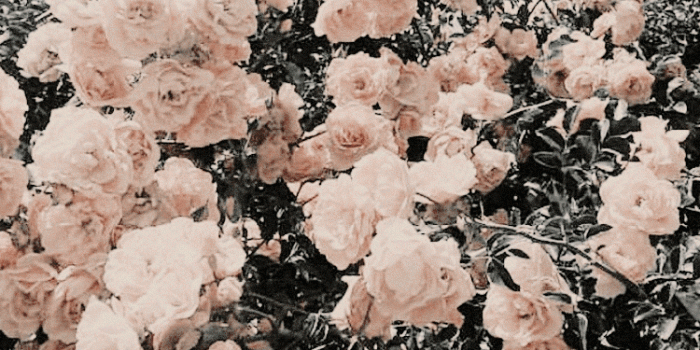 750x1332 aesthetic lockscreen | Tumblr | b a c k g r o u n d s in 2019