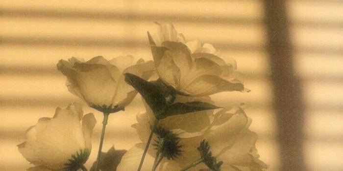 719x1280 iphone wallpaper | Tumblr