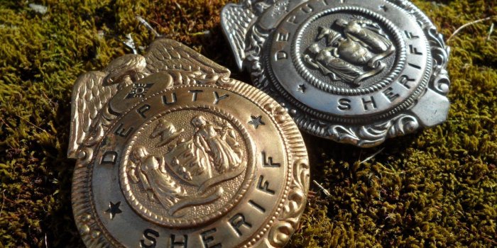 1600x1200 Four Bees: New Jersey Deputy Sheriff Badges, Stock Badges circa 1910