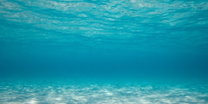 1920x1200 64+ Underwater Ocean Wallpapers on WallpaperPlay