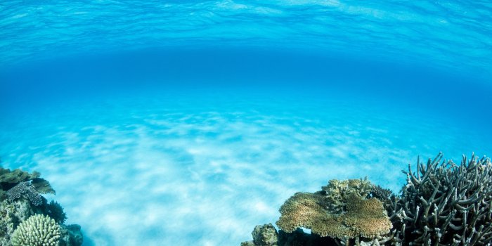 3840x2400 Underwater Wallpapers - Top Free Underwater Backgrounds