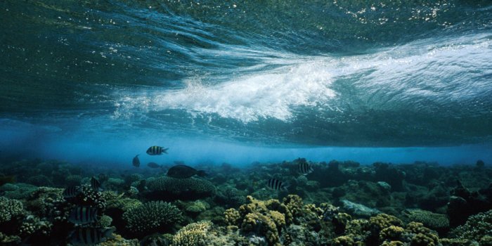 1900x1425 Underwater Landscape Photos, Underwater Wallpapers, Download, Photos