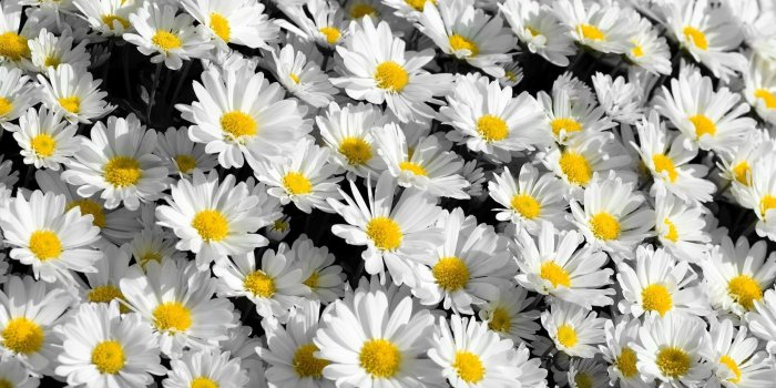 1800x1196 Afbeeldingsresultaat voor tumblr desktop background | Backgrounds