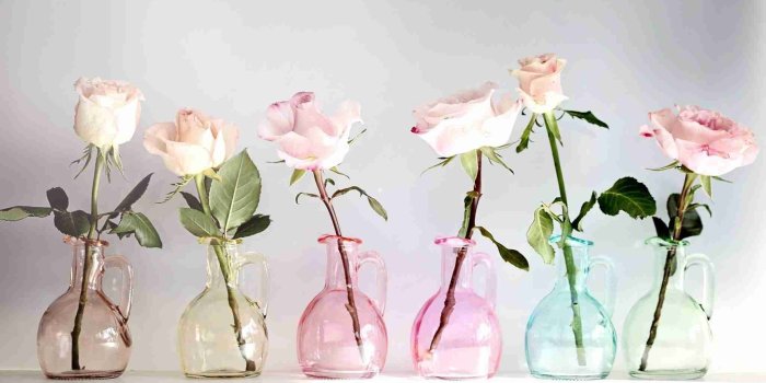 2048x1319 Vintage Flower Tumblr Quotes Wallpapers - Floral Desktop Wallpaper