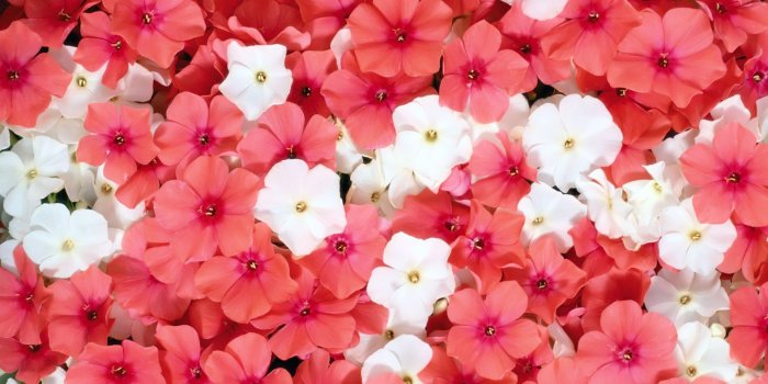 1920x1200 Nice Wallpapers Tumblr (30+), Download 4K Wallpapers For Free