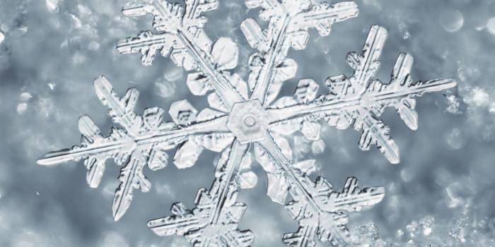 1080x1920 Ice Snowflake iPhone 7 Plus Wallpaper | Winter Wallpaper