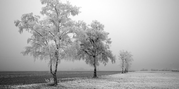 1920x1200 Ansel Adams ⛰