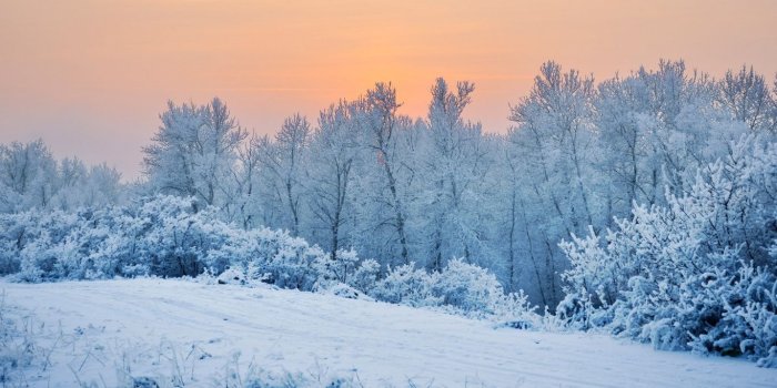 1366x768 ideas about Winter Wallpapers Winter iphone 1366x768