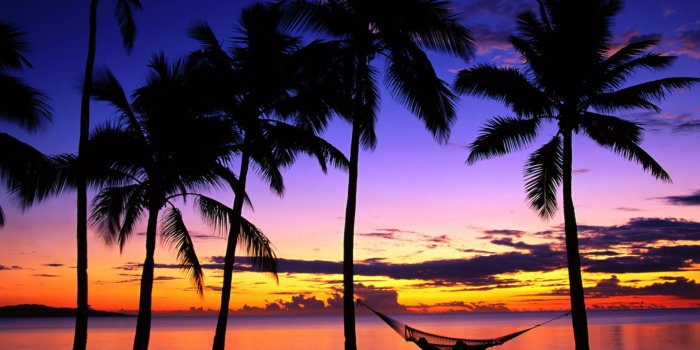2500x1406 65+ Tropical Sunset 4K Wallpapers - Download at WallpaperBro