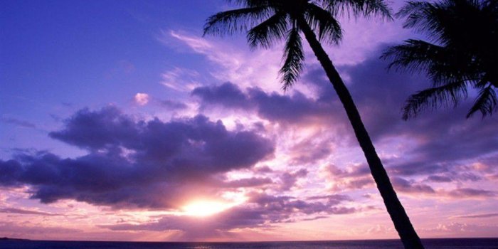 1024x819 47+] Tropical Sunset Wallpaper Desktop on WallpaperSafari