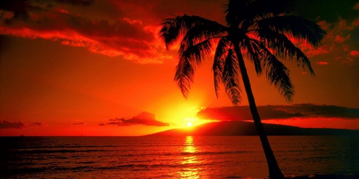 1920x1080 Tropical Island Sunset Wallpapers