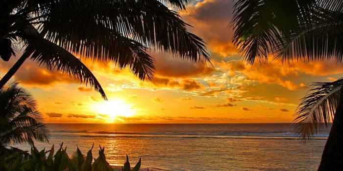 1366x768 Tropical Sunset Wallpaper and Background Image | 1366x768 | ID
