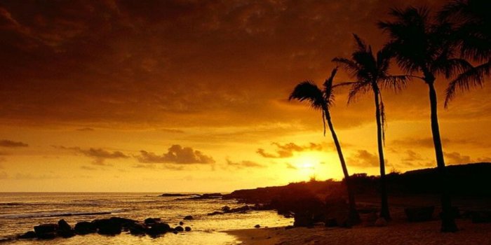 1920x1200 Tropical Sunset Wallpaper #7001661