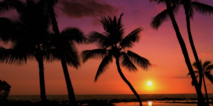1920x1080 Tropical Sunset ❤ 4K HD Desktop Wallpaper for 4K Ultra HD TV