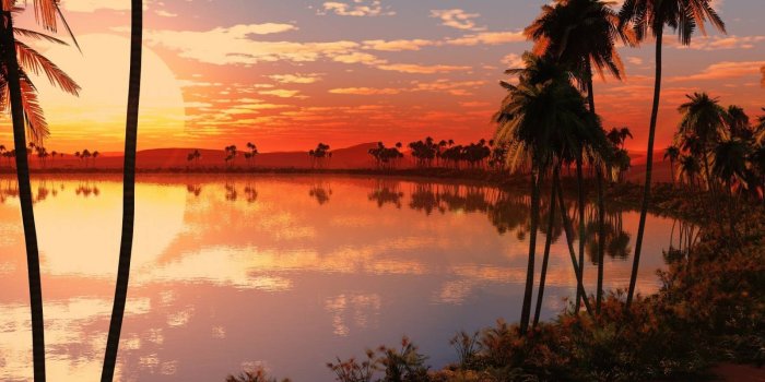 1600x1200 Tropical Sunset Wallpaper by 521984anok2 - 1e - Free on ZEDGE™