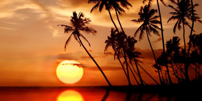 2560x1920 Wallpaper Beautiful tropical sunset, palm trees, sea, beach
