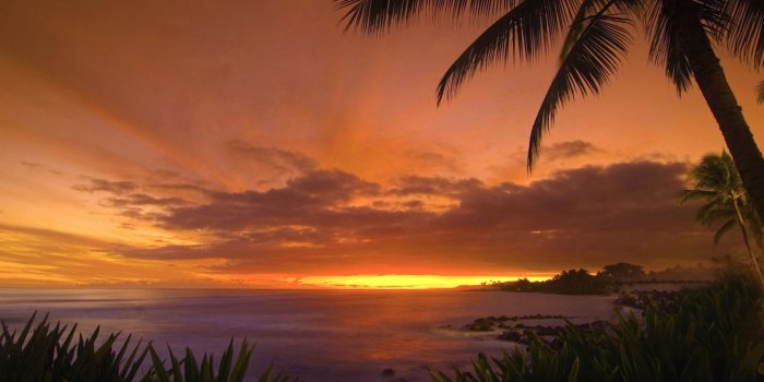 1920x1200 Tropical Sunset Wallpaper Landscape Nature Wallpapers in jpg format