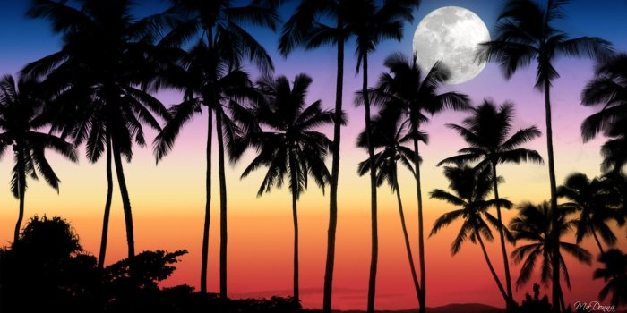 1920x1080 Pix For > Tropical Sunset Wallpaper | canvas art in 2019 | Sunset