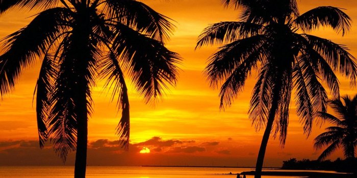 1600x1200 Tropical Sunset Wallpaper and Background Image | 1600x1200 | ID