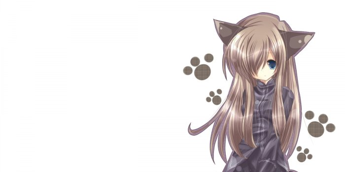 3840x2400 Anime Cat Girl Background Download Desktop Wallpapers HD Images