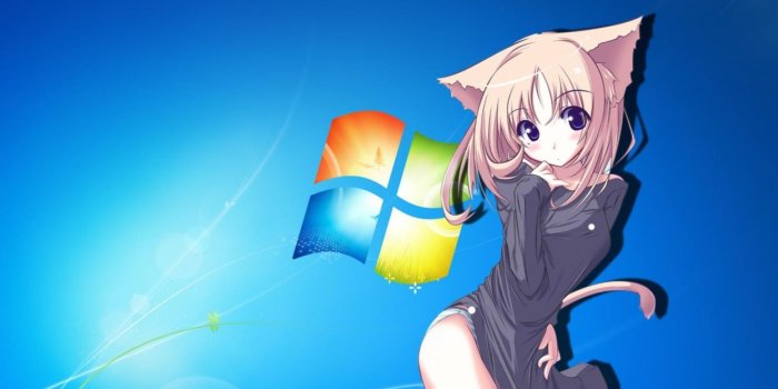 1245x700 Anime cat girl with windows7 background wallpaper | 2560x1440