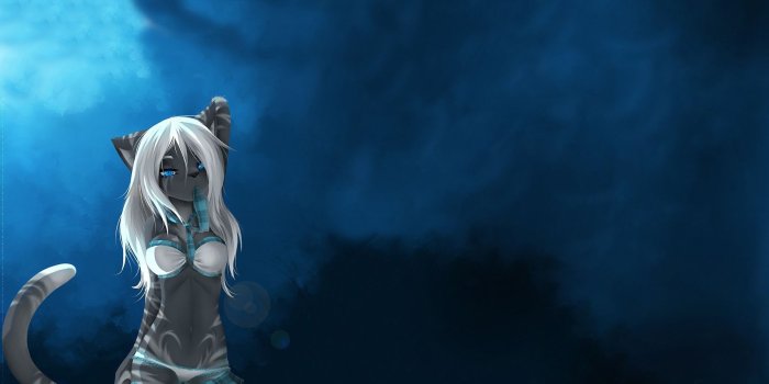 1920x1080 73+ Anime Cat Wallpapers on WallpaperPlay