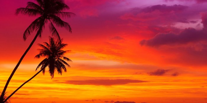 1200x800 JTI:68 - Tropical Sunset, HD Awesome Tropical Sunset Pictures Collection