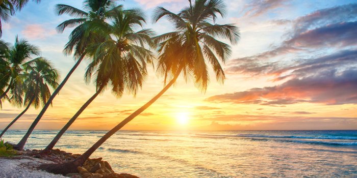 3840x2160 Tropical Sunset Hd Wallpapers | Pictures 3840x2160 (2254.51 KB)