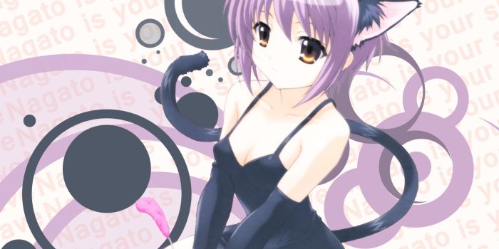 1600x1200 38+] Anime Cat Girl Wallpaper on WallpaperSafari