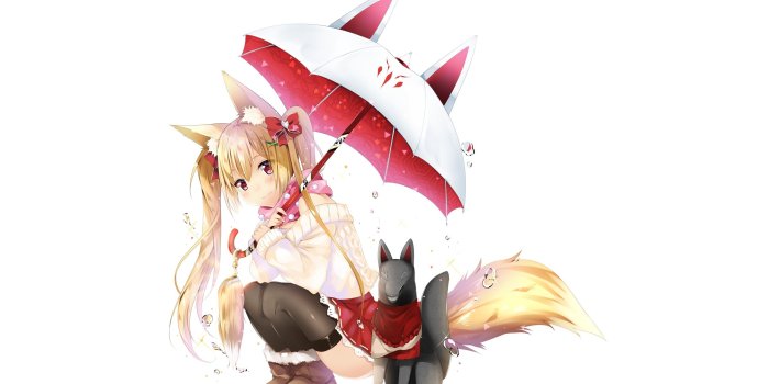 2560x1440 281 Animal Ears HD Wallpapers | Background Images