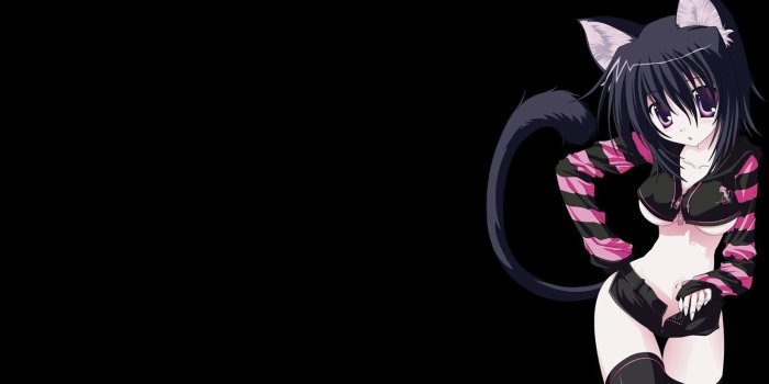 1600x900 72 Anime Cat Girl Wallpaper | WallpaperCarax