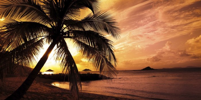 2560x1600 45+ Best Tropical Sunset Wallpapers - Download at WallpaperBro
