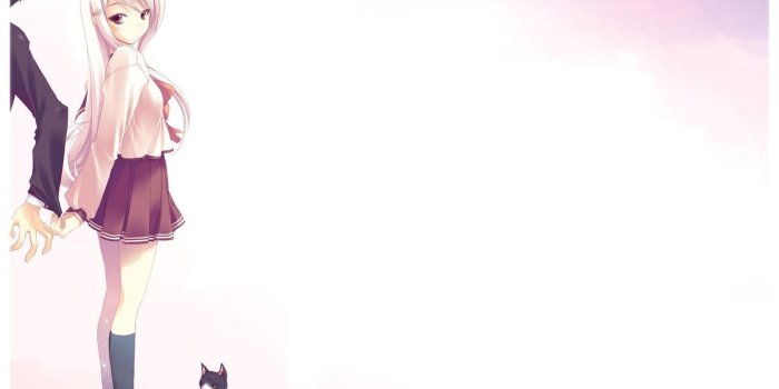 1552x1164 65+ Anime Cat Phone Wallpapers - Download at WallpaperBro