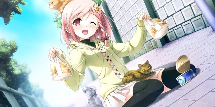1920x1080 Anime cute wallpaper cat girl wallpapers skilal desktop - WallpaperAsk