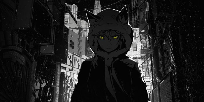 1920x1080 Cat Girl : wallpapers