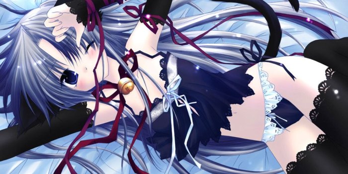 1024x768 Anime Cat Girl Wallpaper on WallpaperGet.com
