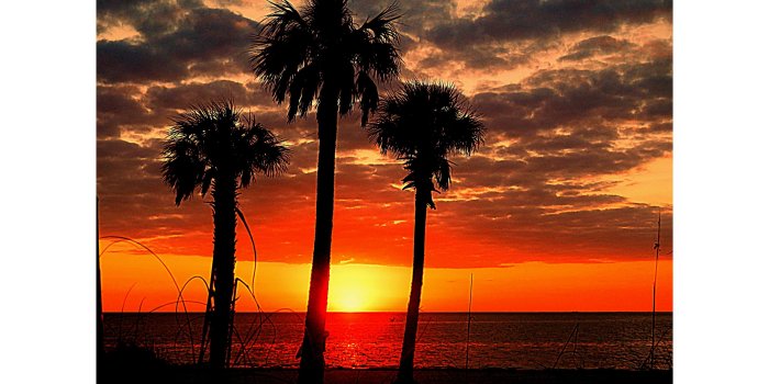 3840x2160 Tropical Sunset 4K wallpaper