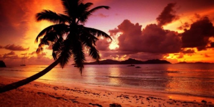 1024x768 Tropical Beach Paradise Sunset Wallpaper. Desktop Background