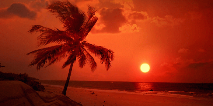 1920x1080 Tropical beach beautiful sunset palm tree sea people dusk wallpaper