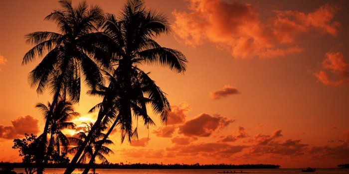 1280x800 Tropical Beach Sunset - Tropical Beach Sunset Background (#481877