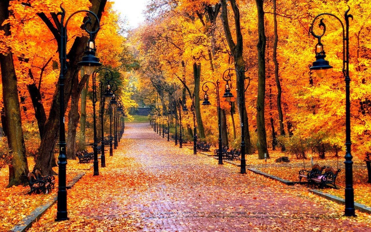 1280x800 Autumn Wallpaper In 2019 September The Autumnal Equinox Fall Prime